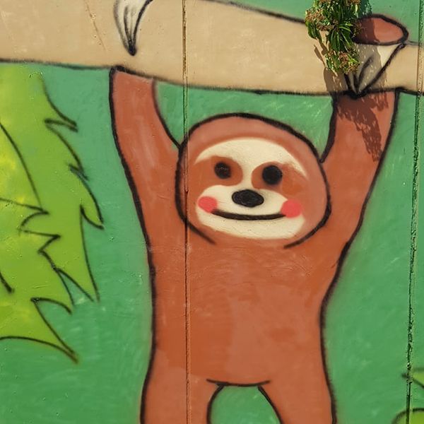 Graffiti Workshop - Tierisch bunt!