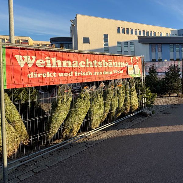 Weihnachtsbaumverkauf im ElbeCenter Meißen